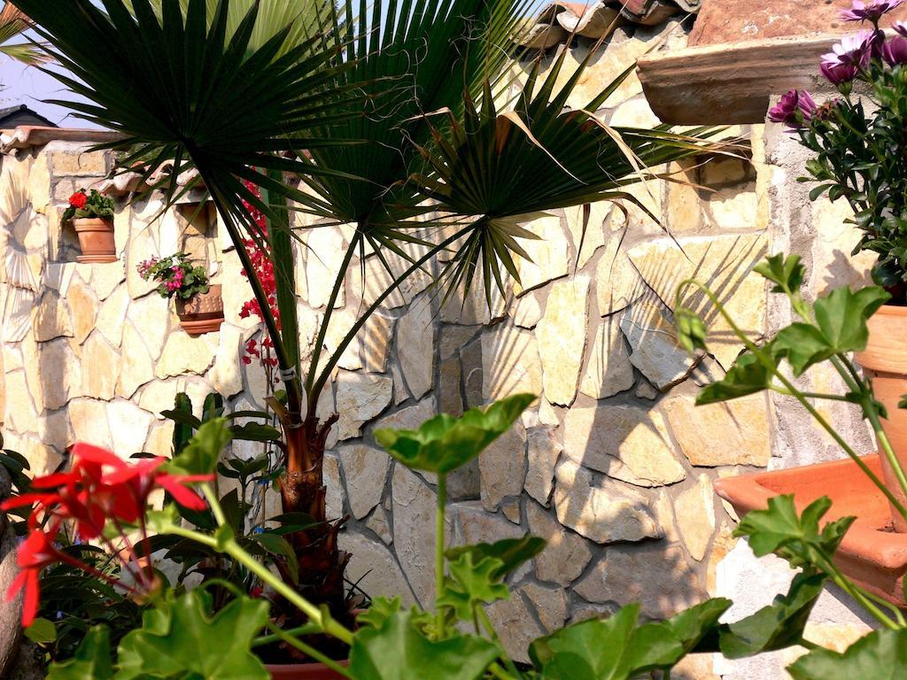 Apartmenthaus Casa Palma Buehl  Ngoại thất bức ảnh